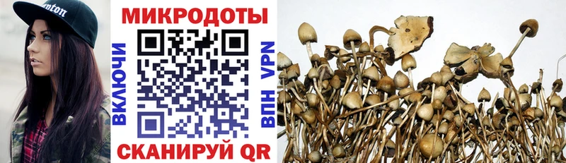 Галлюциногенные грибы MAGIC MUSHROOMS  где найти   mega ONION  Махачкала 